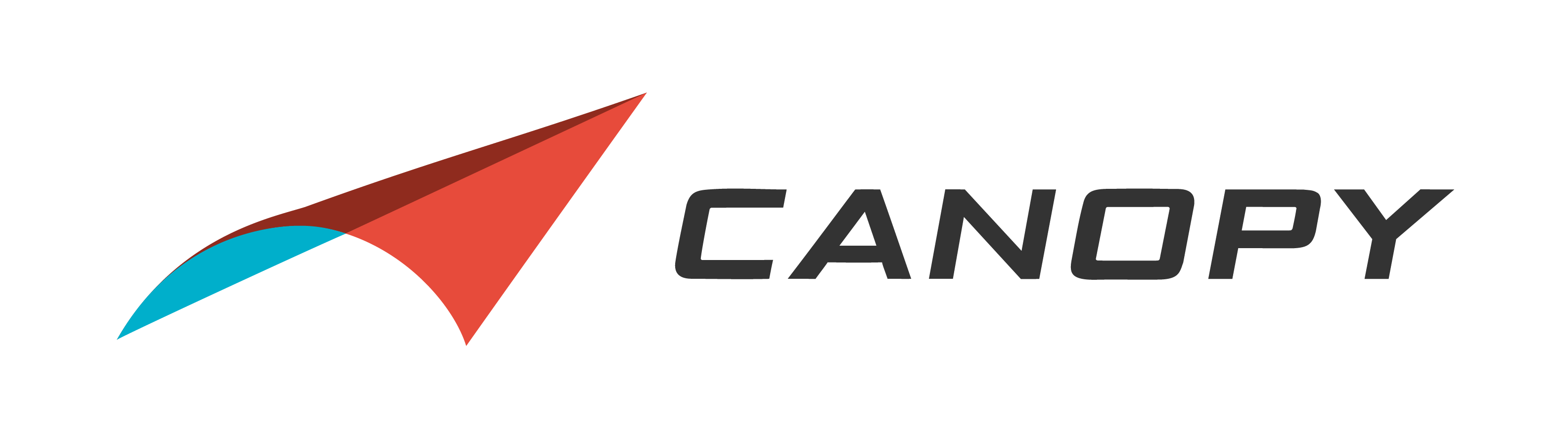 Canopy Aerospace Logo